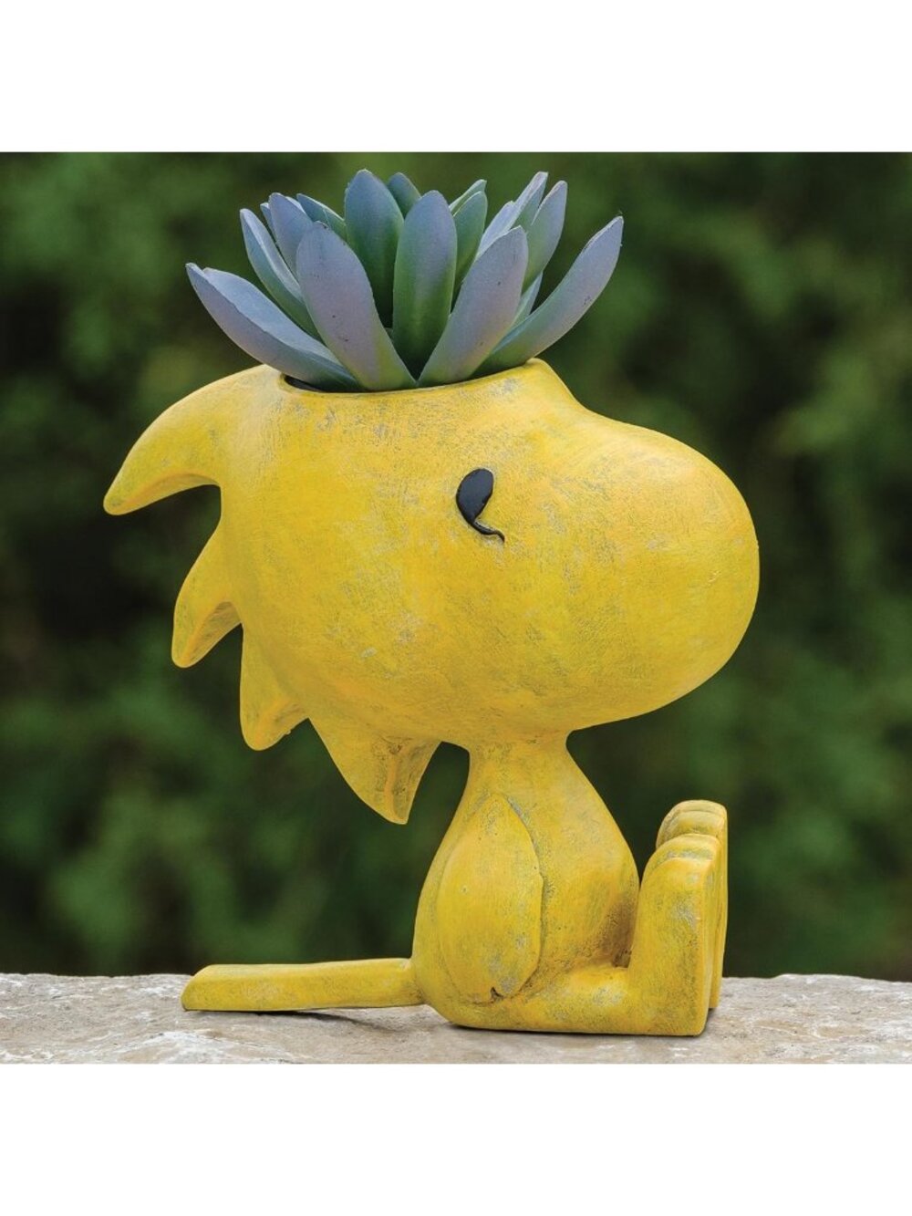 6.25” Indoor/Outdoor Succulent & Herb Planter - Cute Woodstock Design